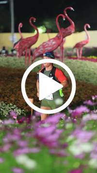 BIB:  <button type="button" onclick="openModal(27589971)" class="btn btn-primary btn-sm float-right" data-toggle="modal" data-target=".modal-high-quality">
                <i class="fa fa-download"></i> Download
                </button>